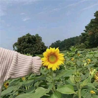 御剑三国单机破解版下载