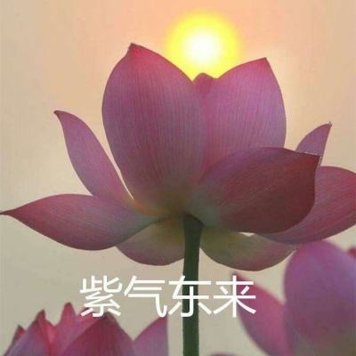 红海行动游戏(暂未上线)v1.0.0 安卓版