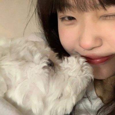 坦克世界闪电战破解版下载